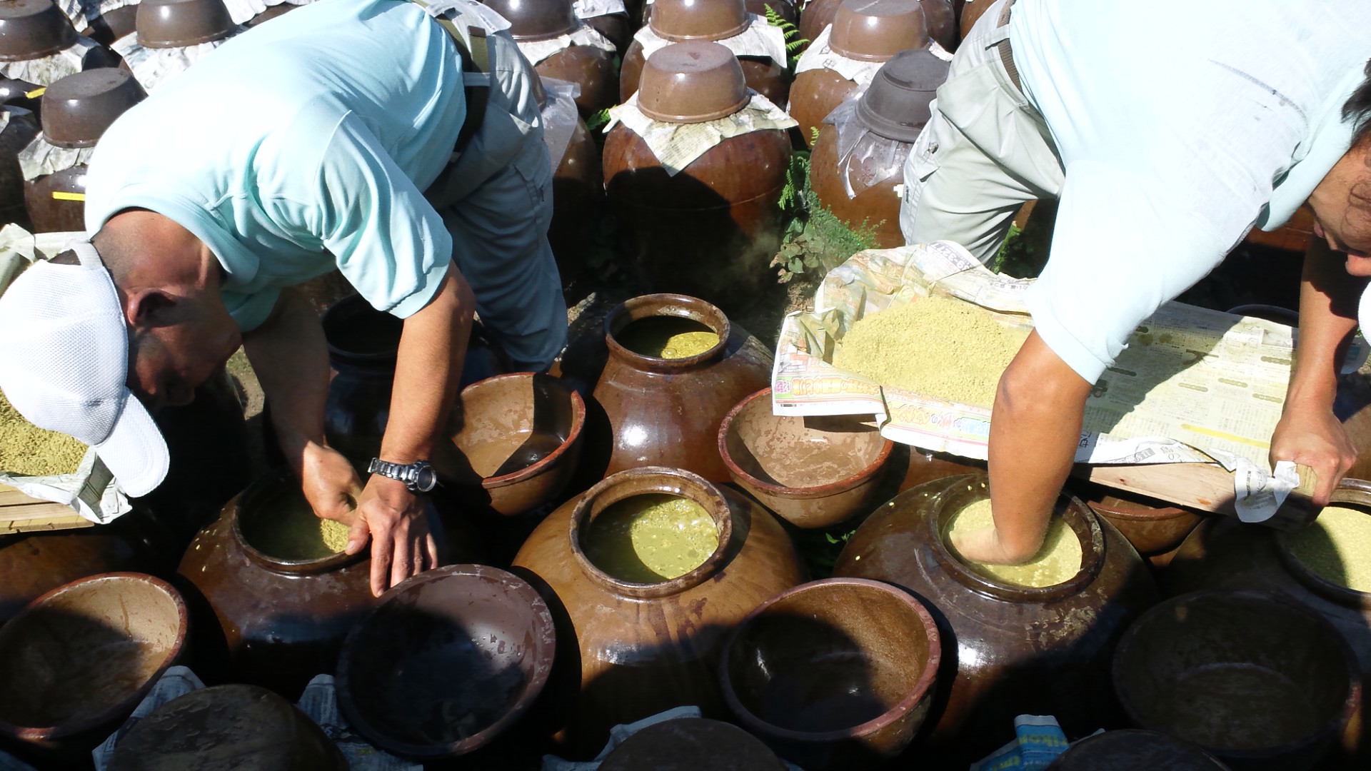 重久本舗（重久盛一酢醸造場）黒酢仕込み。2020年最後の仕込みになります。11月中旬までは鹿児島は温暖なのでこの時期まで仕込みを行います。