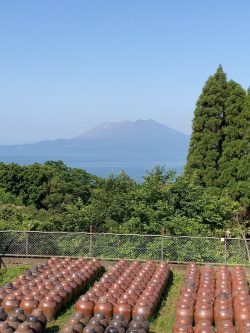 20210602『鹿児島黒酢・甕酢畑晴れやかな天気』2