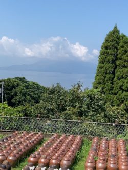 鹿児島黒酢・甕酢風景『夏空の甕（かめ）畑』